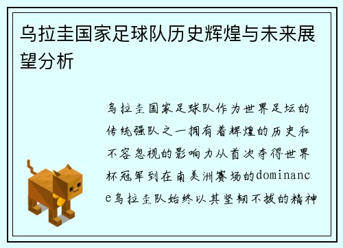 乌拉圭国家足球队历史辉煌与未来展望分析