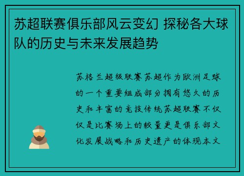 苏超联赛俱乐部风云变幻 探秘各大球队的历史与未来发展趋势