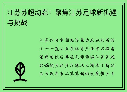 江苏苏超动态：聚焦江苏足球新机遇与挑战