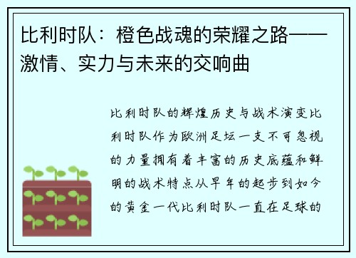 比利时队：橙色战魂的荣耀之路——激情、实力与未来的交响曲