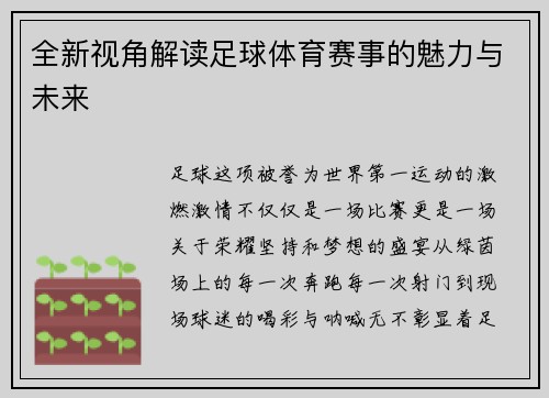 全新视角解读足球体育赛事的魅力与未来