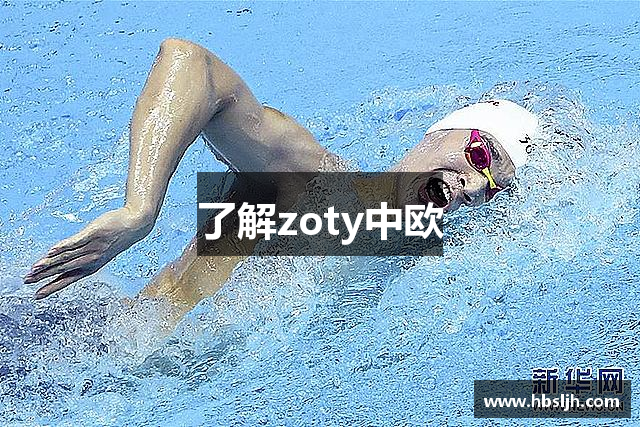 了解zoty中欧